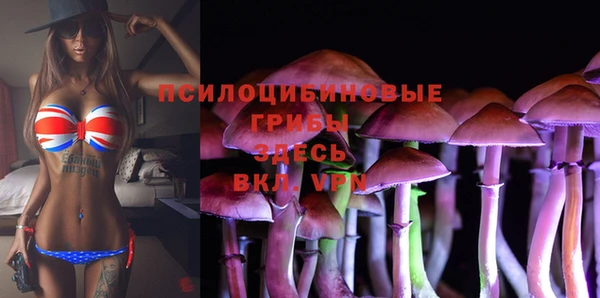 ГАЛЛЮЦИНОГЕННЫЕ ГРИБЫ Наволоки