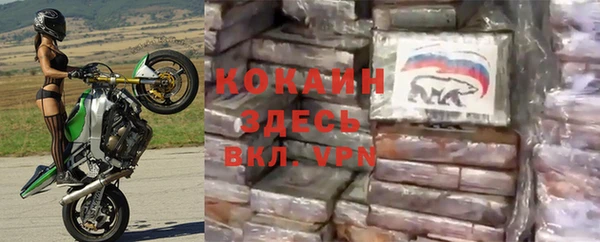 ГАЛЛЮЦИНОГЕННЫЕ ГРИБЫ Наволоки