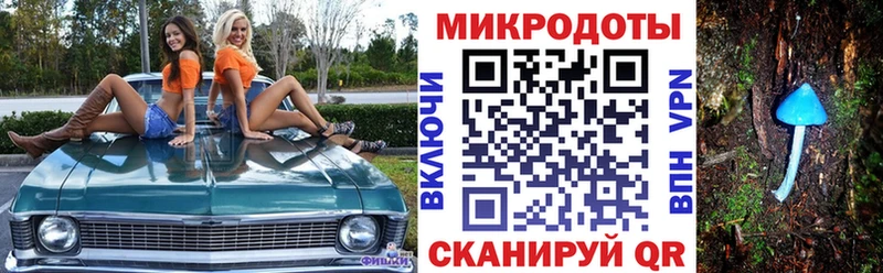 Галлюциногенные грибы MAGIC MUSHROOMS  кракен маркетплейс  Заполярный 